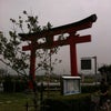 途中釣果…の画像