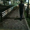 夜のお散歩。の画像