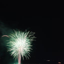 ☆o○*サ～ラ*o○☆ﾟの写真日記-121