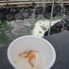 草津温泉旅行記～草津～の記事より