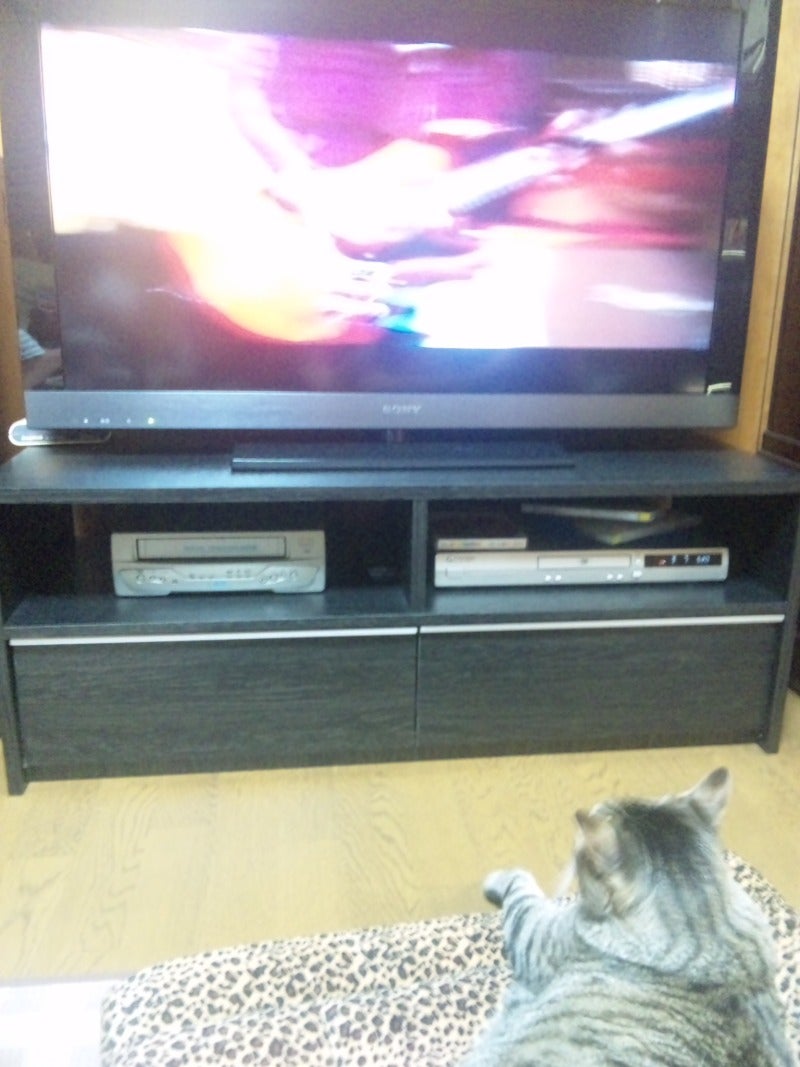 2010/08/15の記事画像