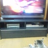 2010/08/15の画像