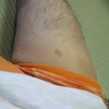 なんとまぁの画像