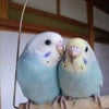 暖かいメッセージありがとうございました。の画像