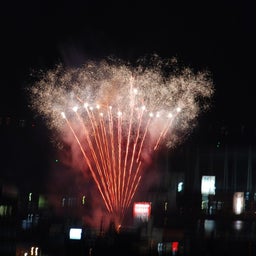 ☆o○*サ～ラ*o○☆ﾟの写真日記