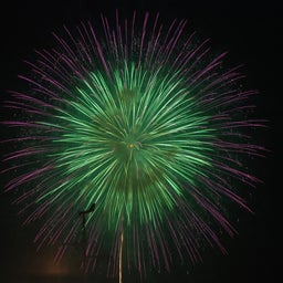 ☆o○*サ～ラ*o○☆ﾟの写真日記-68