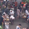 催し物の画像