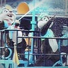 ☆8/7チーデクールサービス４回目その４☆の画像