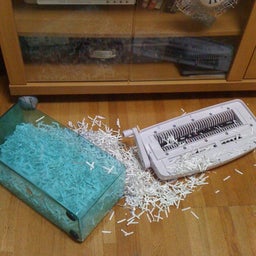 photo:01
