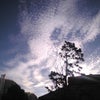 SKY VIEWの画像