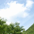 癒しのエリア”宮崎の河原”＆木どり家の記事より