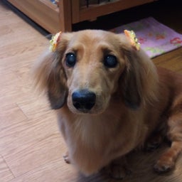 ジュンペイのワンダーランド☆-2010-09-13 17.35.24.jpg2010-09-13 17.35.24.jpg