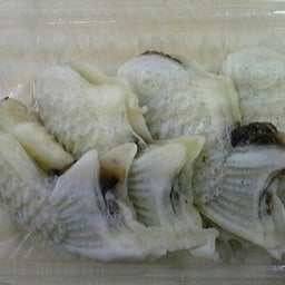 家庭教師のえーるのブログ-白いたい焼き②