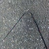 全損でショックを隠せず…の画像