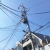 晴の画像