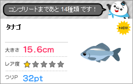 お魚初ゲット♪の記事画像