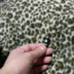 o7253さんのﾌﾞﾛｸﾞ-2010092223280000.jpg