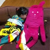 あともう寝るだけの画像