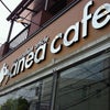 【学芸大学】anea cafeの画像