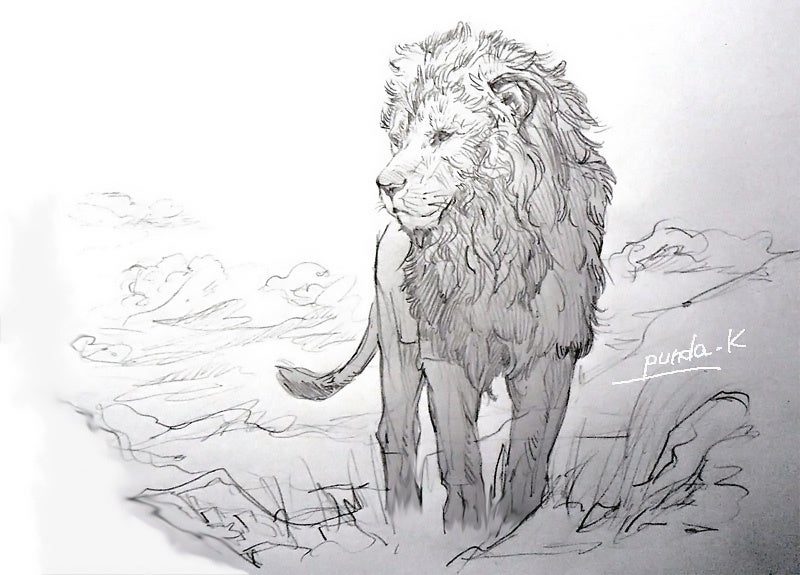 イラスト 草原のライオン アフリカゾウ チーター 写真 Cg日記