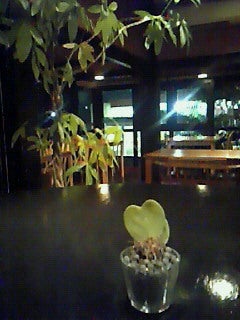 ☆春夏秋冬ぃぃﾄｺ日記☆-201009291025000.jpg