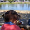 嵐山の画像