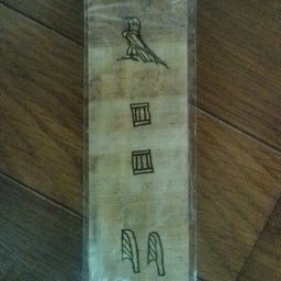 .｡+*+｡.ハチ子の平々凡々*+｡.｡+*-20100927095520.jpg