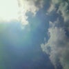 ☆ナィスファイト☆の画像