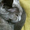さて、さて、の画像