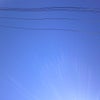 午前の院外散歩の画像