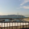 帰ってきたよぉーの画像