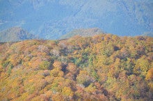 白神山地ツアーで能代山本地区の活性化すっぺ-2010年10月14日の白神山地二ツ森5