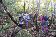白神山地ツアーで能代山本地区の活性化すっぺ-2010年10月16日の藤里駒ケ岳3