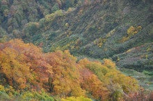 白神山地ツアーで能代山本地区の活性化すっぺ-2010年10月16日の藤里駒ケ岳10