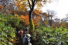 白神山地ツアーで能代山本地区の活性化すっぺ-2010年10月16日の藤里駒ケ岳4