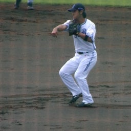 セルビーのベイブロ