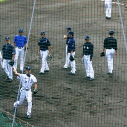 セルビーのベイブロ