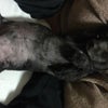 頭痛が…の画像