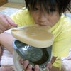 ヤクルトの画像