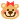 toco toco Diary-EntryImage.gif