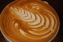 STANDARD CAFE＜スタンダード・カフェ＞-チューリップ