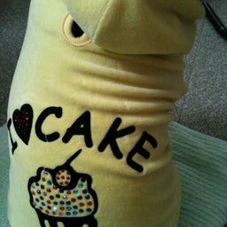 ワンコとおしゃれとおたく☆