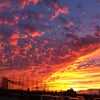 29日の空の画像