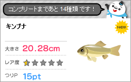 初フィシングの記事画像