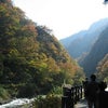 紅葉を観に清津峡へ！の画像