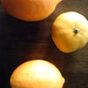 レモンオレンジ。の画像