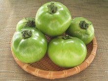 フライド グリーン トマト