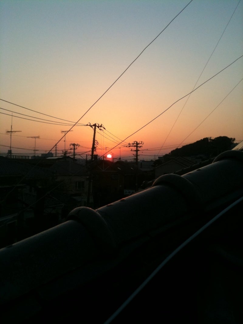 photo:01