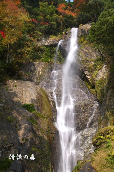 栴檀轟 の滝 清流の森 九州の滝と風景
