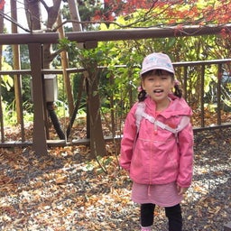 ほのぼの日記-2010111309470000.jpg